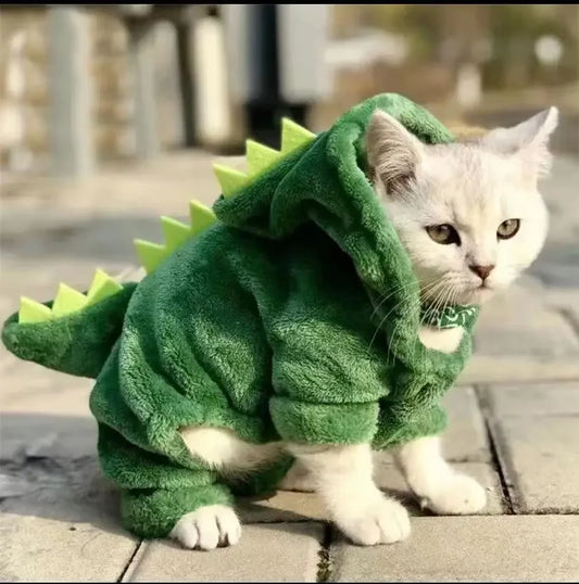 Small Pet Dinosaur Halloween Costume